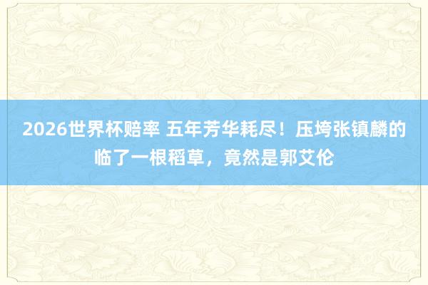 2026世界杯赔率 五年芳华耗尽！压垮张镇麟的临了一根稻草，竟然是郭艾伦
