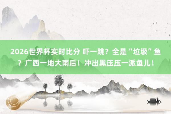 2026世界杯实时比分 吓一跳？全是“垃圾”鱼？广西一地大雨后！冲出黑压压一派鱼儿！