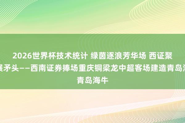 2026世界杯技术统计 绿茵逐浪芳华场 西证聚力展矛头——西南证券捧场重庆铜梁龙中超客场建造青岛海牛