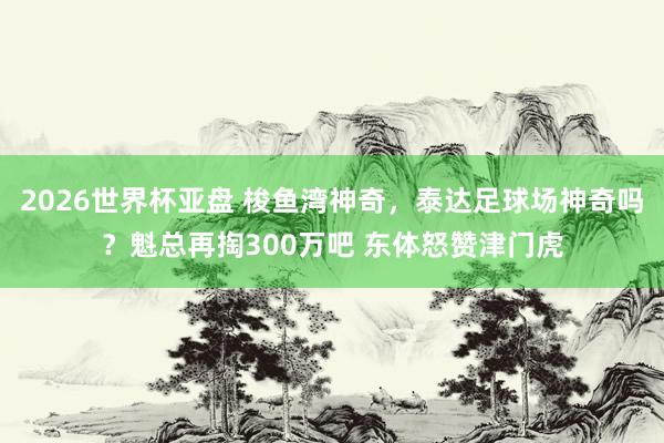 2026世界杯亚盘 梭鱼湾神奇，泰达足球场神奇吗？魁总再掏300万吧 东体怒赞津门虎