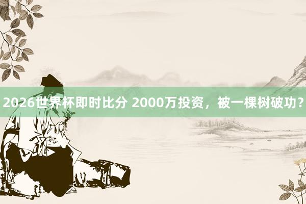 2026世界杯即时比分 2000万投资，被一棵树破功？