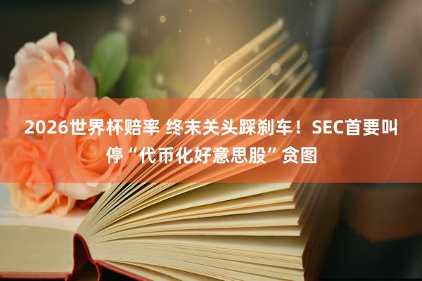 2026世界杯赔率 终末关头踩刹车！SEC首要叫停“代币化好意思股”贪图