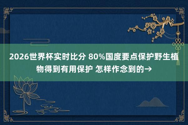 2026世界杯实时比分 80%国度要点保护野生植物得到有用保护 怎样作念到的→