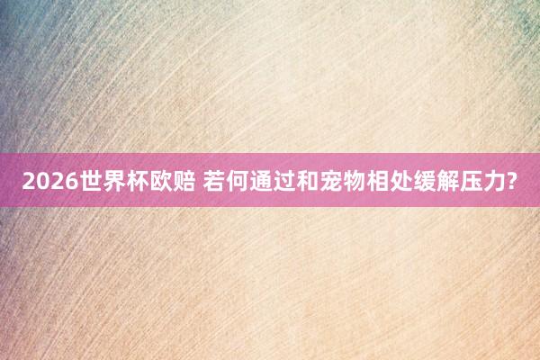 2026世界杯欧赔 若何通过和宠物相处缓解压力?