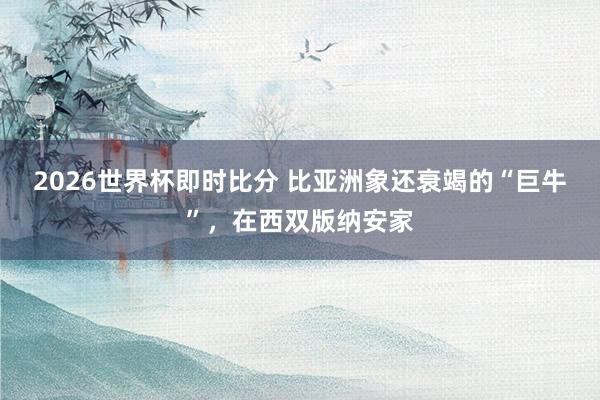 2026世界杯即时比分 比亚洲象还衰竭的“巨牛”，在西双版纳安家