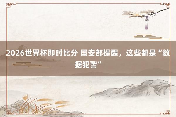2026世界杯即时比分 国安部提醒，这些都是“数据犯警”