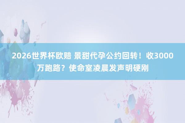 2026世界杯欧赔 景甜代孕公约回转！收3000万跑路？使命室凌晨发声明硬刚