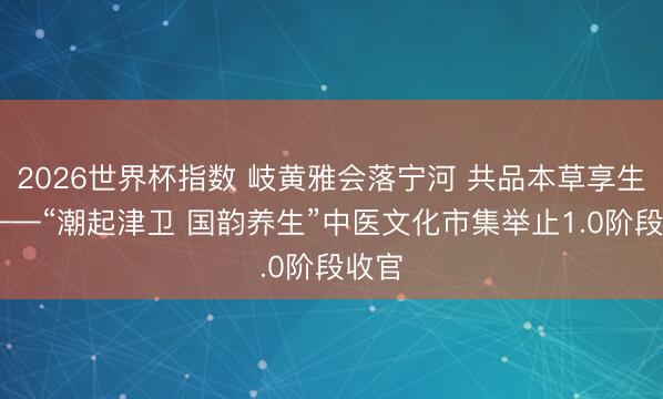 2026世界杯指数 岐黄雅会落宁河 共品本草享生存 ——“潮起津卫 国韵养生”中医文化市集举止1.0阶段收官