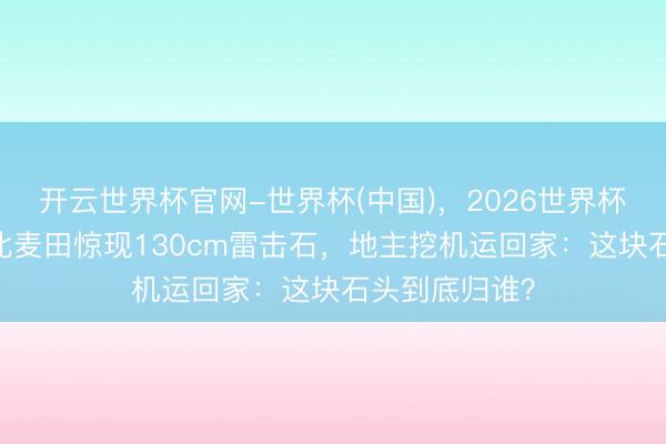 开云世界杯官网-世界杯(中国)，2026世界杯文字直播 河北麦田惊现130cm雷击石，地主挖机运回家：这块石头到底归谁？